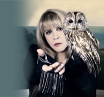 An Evening with Stevie Nicks